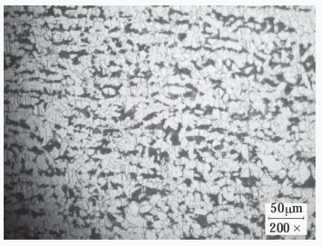 buy SS316 Stainless Steel Clad Steel Plate